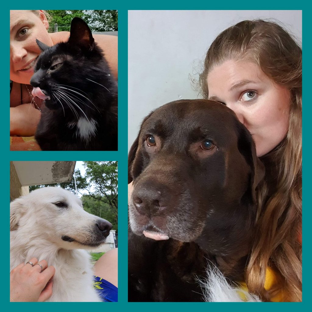 Garde d'animaux familiale